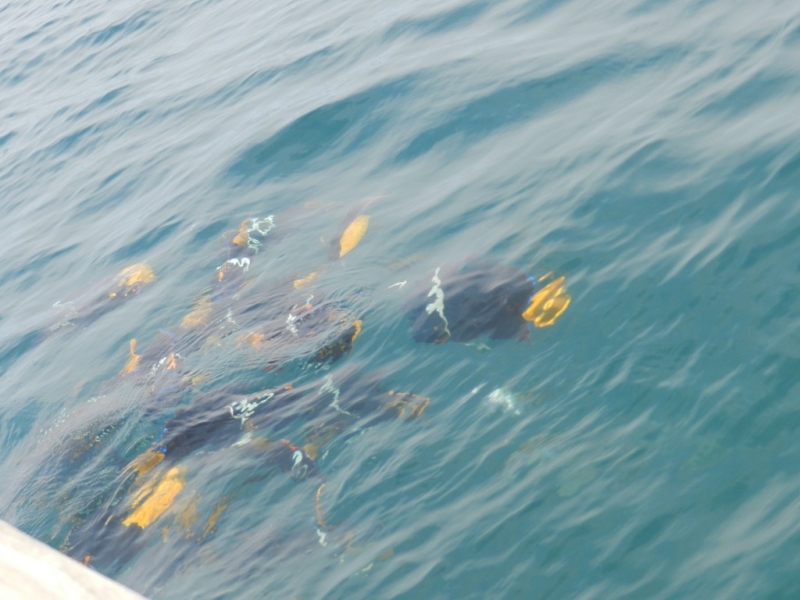 Перу, Боливия и кусочек пляжного Эквадора, ноябрь 2013