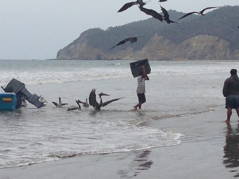 Перу, Боливия и кусочек пляжного Эквадора, ноябрь 2013