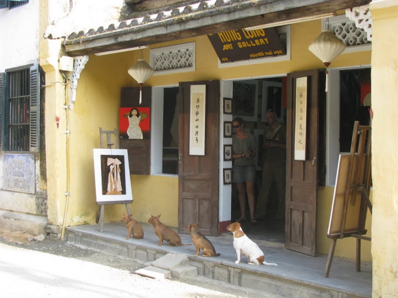 Фотоохота, зоопарки и просто животинки из путешествий - 3