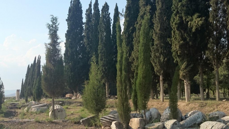 Отчет о поездке в Памуккале и Стамбул на 3 дня в июне 2014 г.