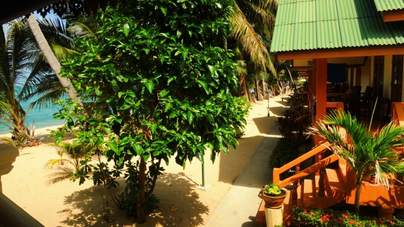 Март 2014. Самуи и не только ...