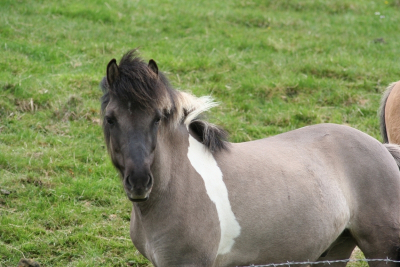 Исландия. Июнь 2014. Unreal. Unbelievable. Unutterable