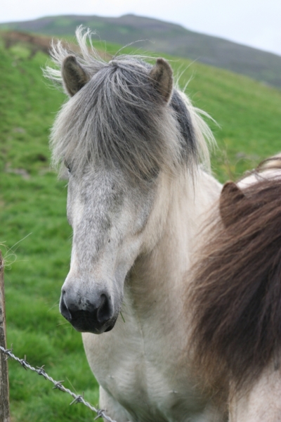 Исландия. Июнь 2014. Unreal. Unbelievable. Unutterable