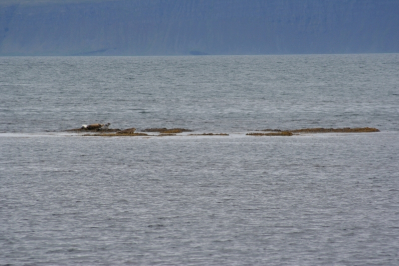 Исландия. Июнь 2014. Unreal. Unbelievable. Unutterable