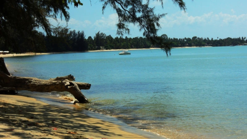 Март 2014. Самуи и не только ...