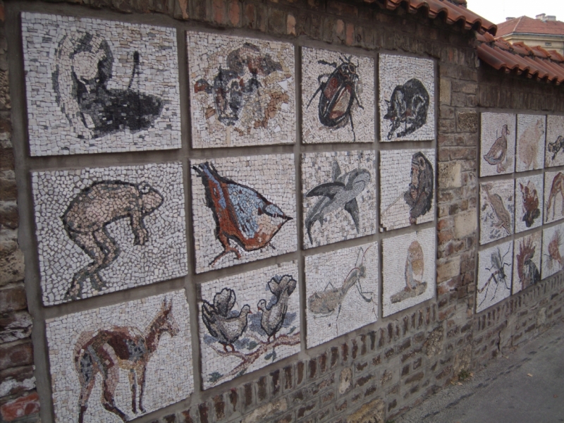 Неделя в Сербии – август 2013 (Белград–Земун–Крагуевац–Смедерево–Нови-Сад)