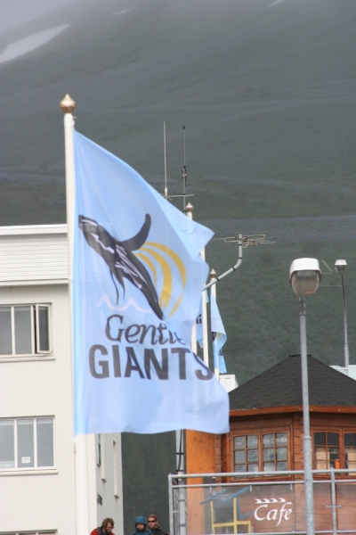 Исландия. Июнь 2014. Unreal. Unbelievable. Unutterable