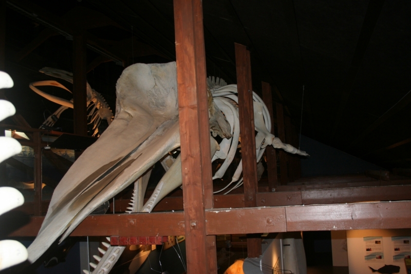 Исландия. Июнь 2014. Unreal. Unbelievable. Unutterable