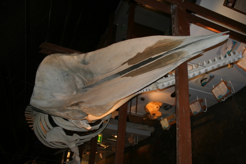 Исландия. Июнь 2014. Unreal. Unbelievable. Unutterable