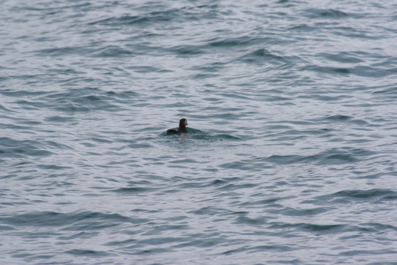 Исландия. Июнь 2014. Unreal. Unbelievable. Unutterable