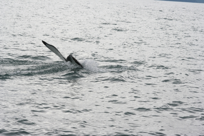 Исландия. Июнь 2014. Unreal. Unbelievable. Unutterable