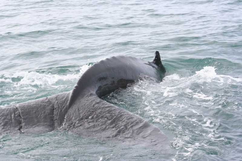 Исландия. Июнь 2014. Unreal. Unbelievable. Unutterable