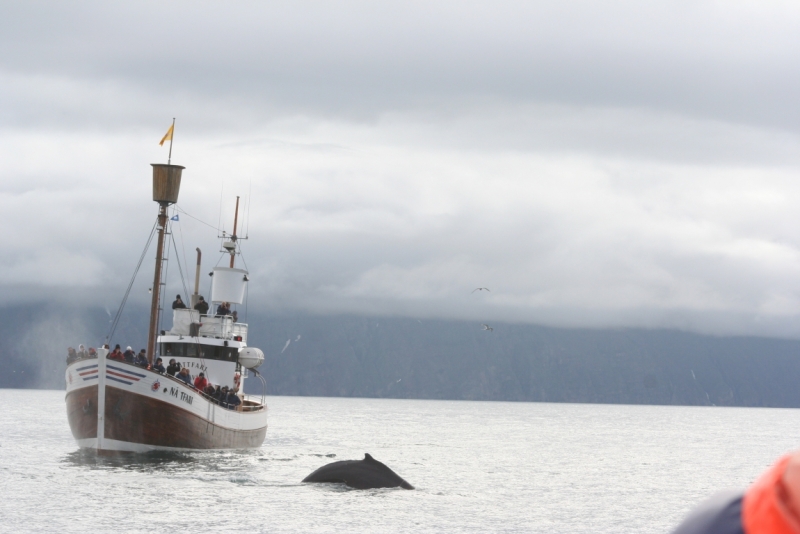 Исландия. Июнь 2014. Unreal. Unbelievable. Unutterable