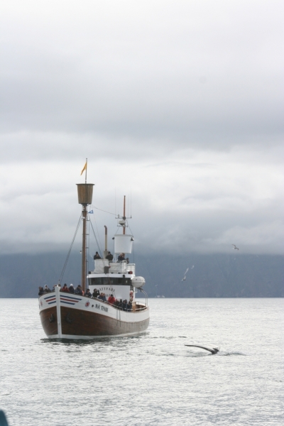 Исландия. Июнь 2014. Unreal. Unbelievable. Unutterable