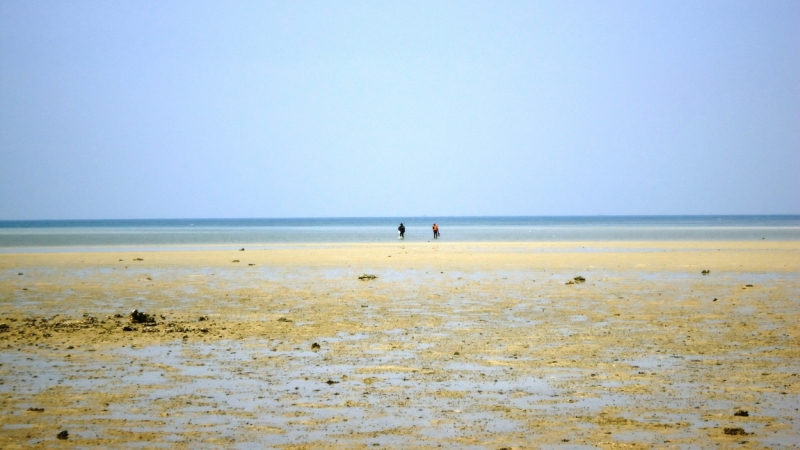 Март 2014. Самуи и не только ...