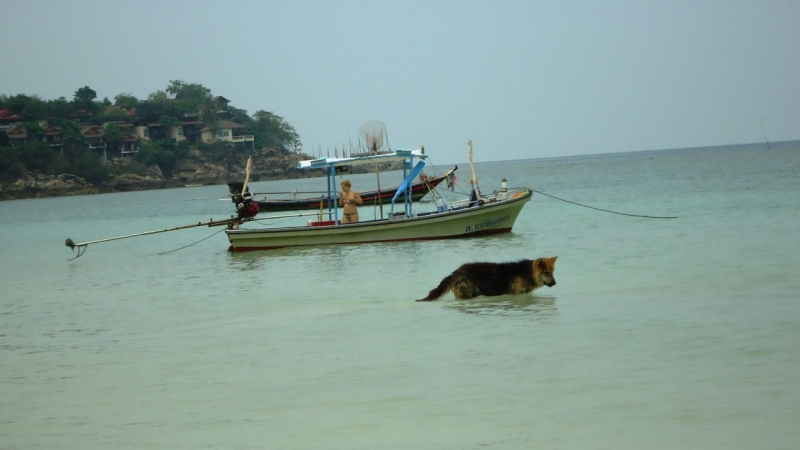 Март 2014. Самуи и не только ...