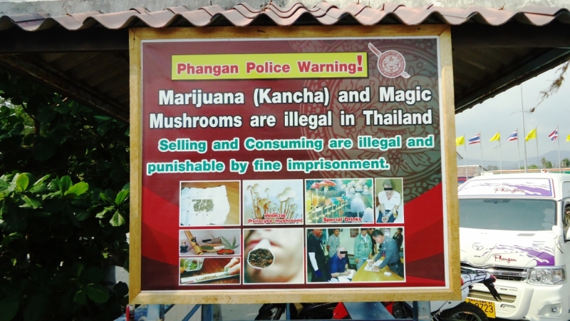 Март 2014. Самуи и не только ...