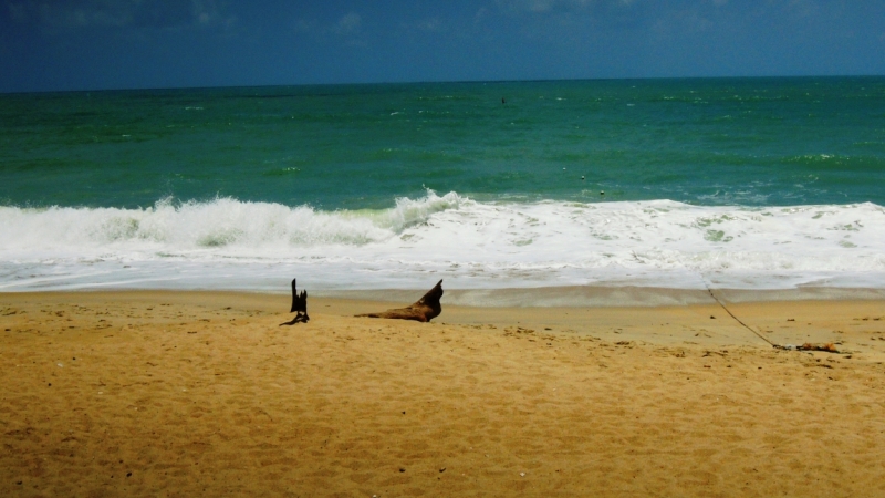 Март 2014. Самуи и не только ...