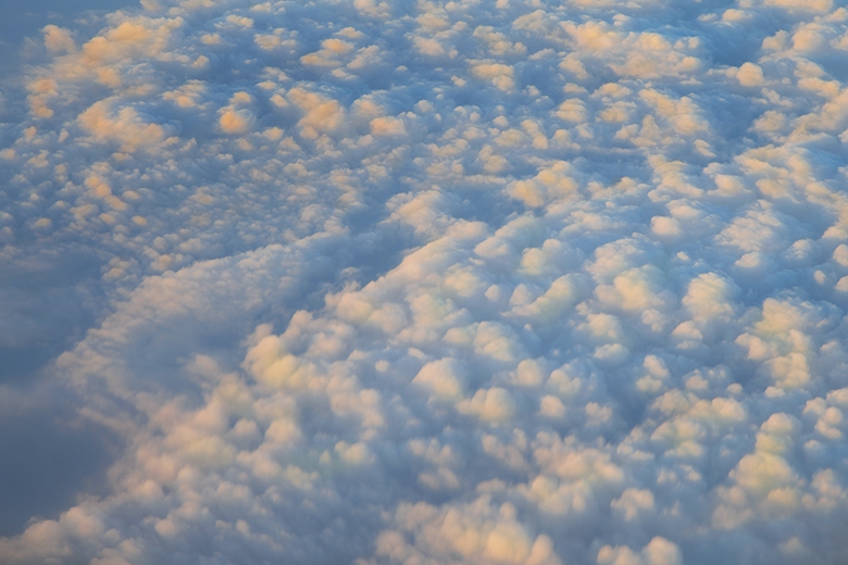 Фотоотчет. Таиланд 2013 впервые самостоятельно, Самуи, Ко Тао, Нанг Юан, Бангкок. Трафик.