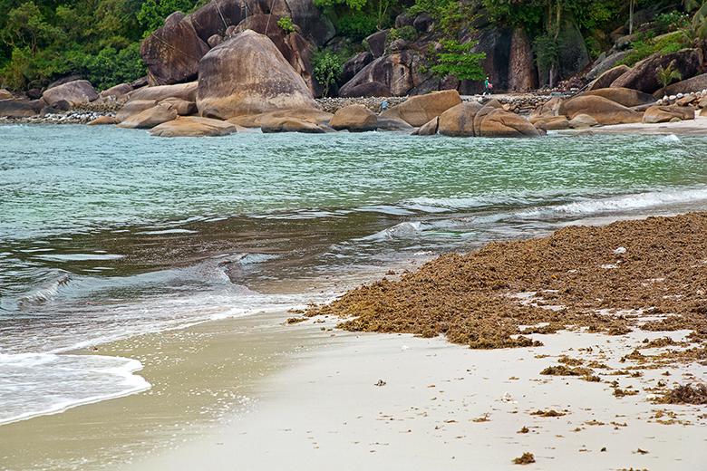 Фотоотчет. Таиланд 2013 впервые самостоятельно, Самуи, Ко Тао, Нанг Юан, Бангкок. Трафик.