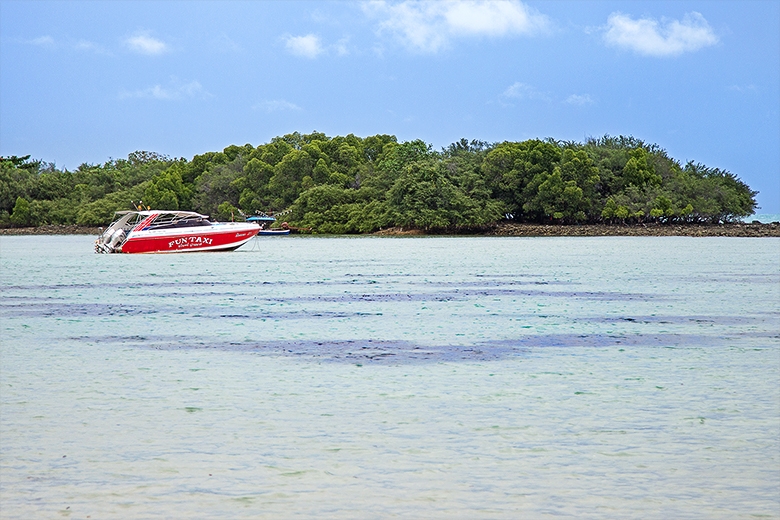 Фотоотчет. Таиланд 2013 впервые самостоятельно, Самуи, Ко Тао, Нанг Юан, Бангкок. Трафик.