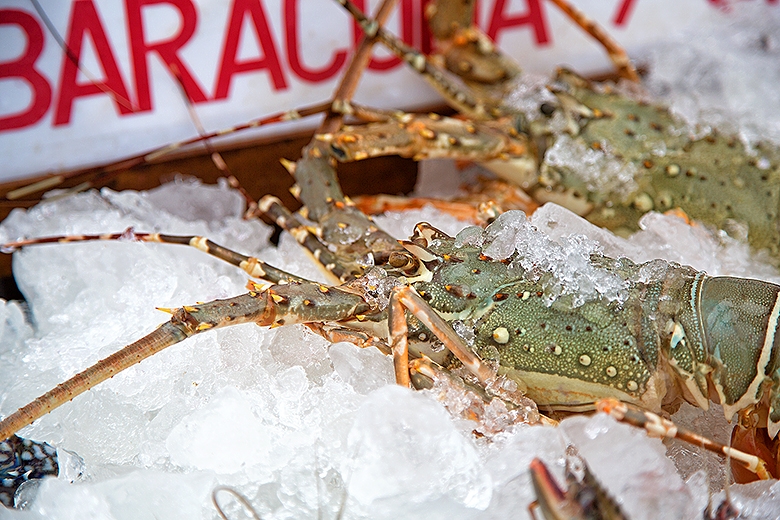 Фотоотчет. Таиланд 2013 впервые самостоятельно, Самуи, Ко Тао, Нанг Юан, Бангкок. Трафик.