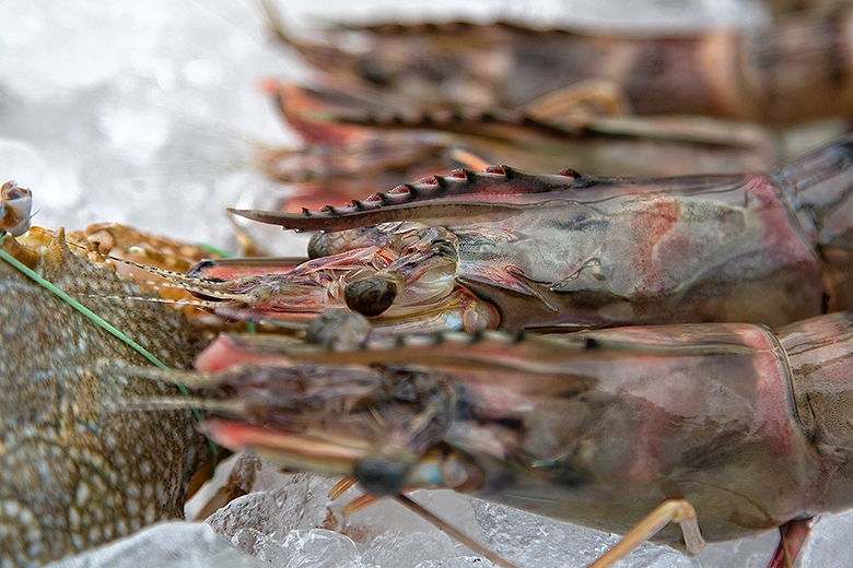 Фотоотчет. Таиланд 2013 впервые самостоятельно, Самуи, Ко Тао, Нанг Юан, Бангкок. Трафик.