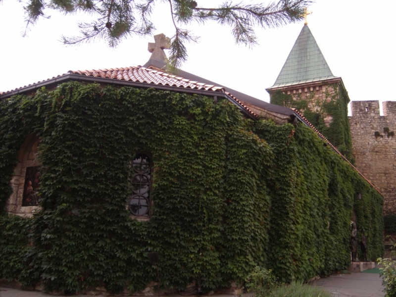 Неделя в Сербии – август 2013 (Белград–Земун–Крагуевац–Смедерево–Нови-Сад)