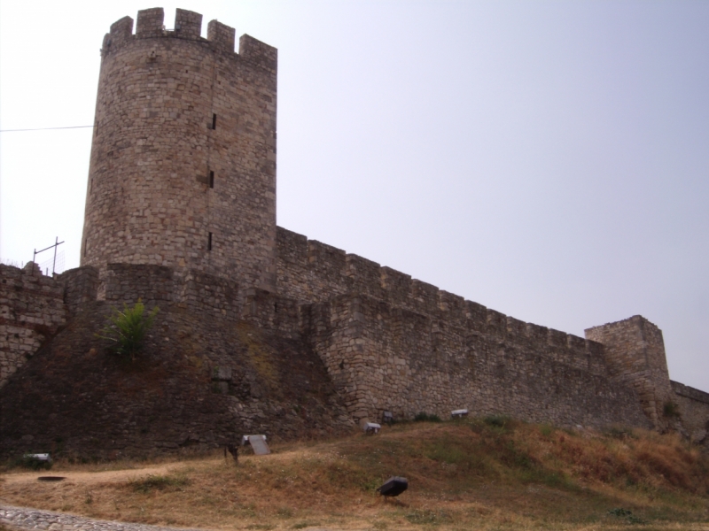 Неделя в Сербии – август 2013 (Белград–Земун–Крагуевац–Смедерево–Нови-Сад)