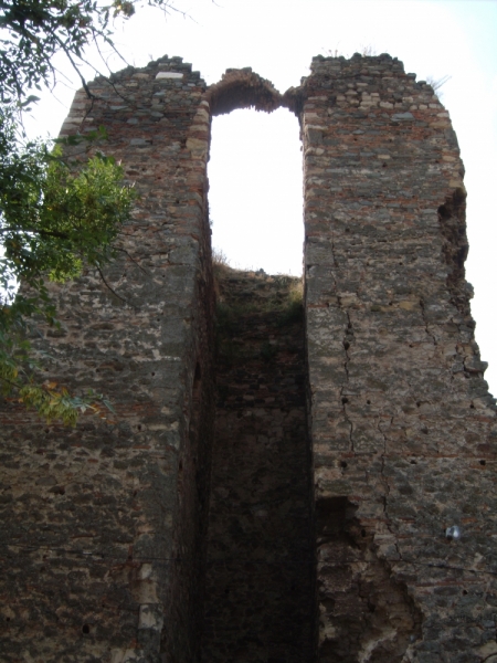 Неделя в Сербии – август 2013 (Белград–Земун–Крагуевац–Смедерево–Нови-Сад)