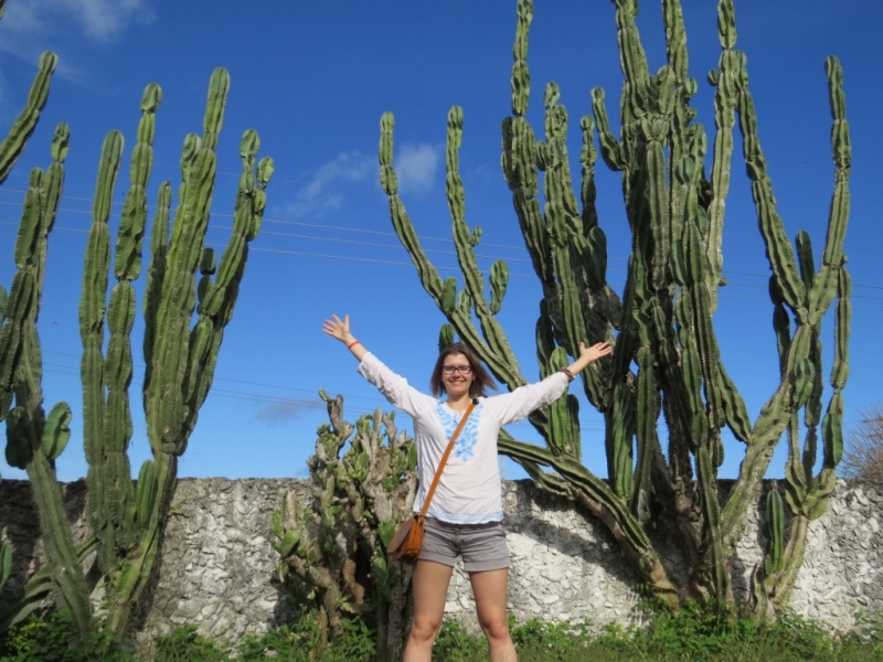 Круг по Юкатану, сеноты, Xcaret, Xplor, Coco Bongo, дельфины, фотосессия