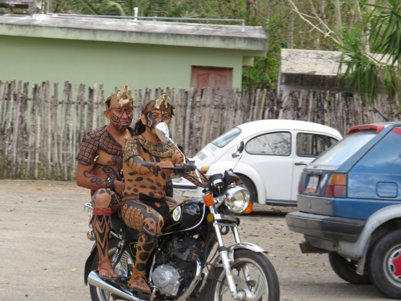 Круг по Юкатану, сеноты, Xcaret, Xplor, Coco Bongo, дельфины, фотосессия