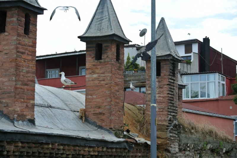 Галопом по западному побережью Турции: Стамбул-Бодрум-Дидим-Кушадасы-Бергама-Измир-Стамбул