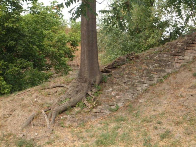 Неделя в Сербии – август 2013 (Белград–Земун–Крагуевац–Смедерево–Нови-Сад)