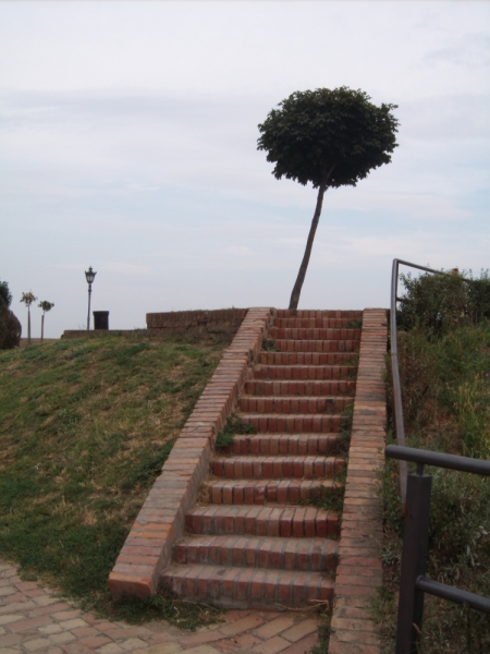 Неделя в Сербии – август 2013 (Белград–Земун–Крагуевац–Смедерево–Нови-Сад)