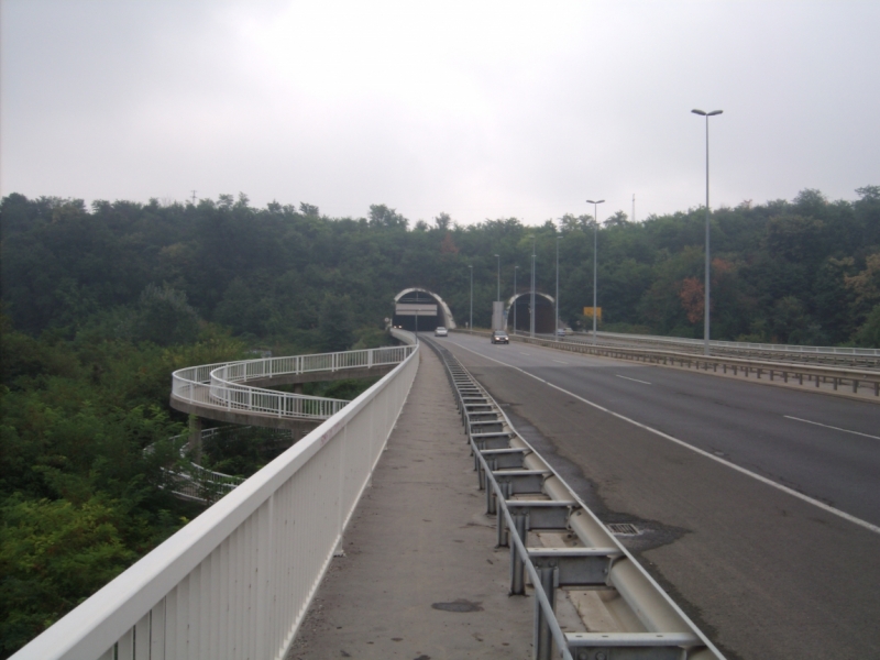 Неделя в Сербии – август 2013 (Белград–Земун–Крагуевац–Смедерево–Нови-Сад)