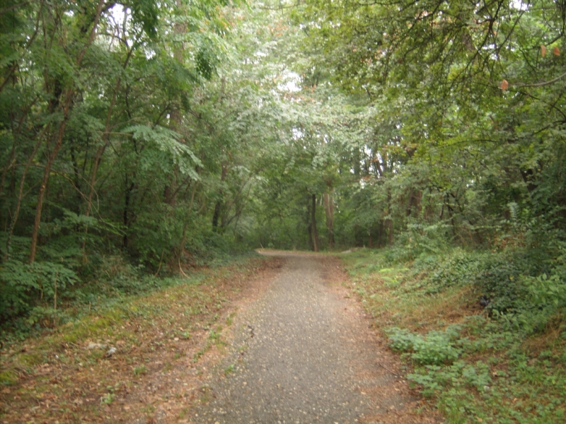 Неделя в Сербии – август 2013 (Белград–Земун–Крагуевац–Смедерево–Нови-Сад)
