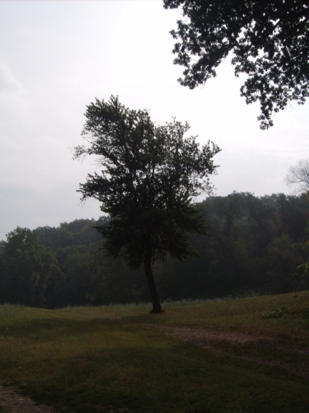 Неделя в Сербии – август 2013 (Белград–Земун–Крагуевац–Смедерево–Нови-Сад)