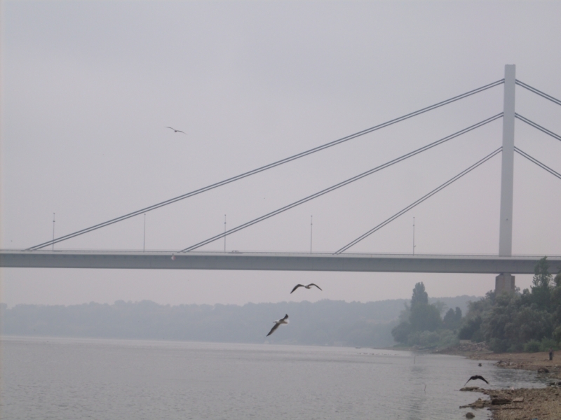 Неделя в Сербии – август 2013 (Белград–Земун–Крагуевац–Смедерево–Нови-Сад)