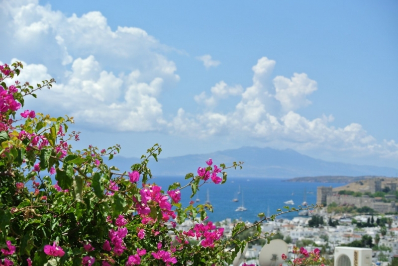 Галопом по западному побережью Турции: Стамбул-Бодрум-Дидим-Кушадасы-Бергама-Измир-Стамбул