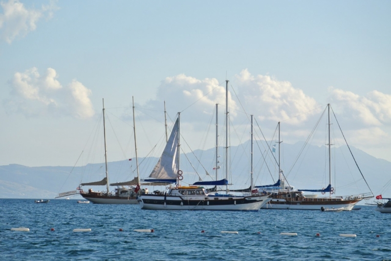 Галопом по западному побережью Турции: Стамбул-Бодрум-Дидим-Кушадасы-Бергама-Измир-Стамбул