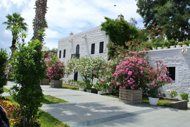 Галопом по западному побережью Турции: Стамбул-Бодрум-Дидим-Кушадасы-Бергама-Измир-Стамбул