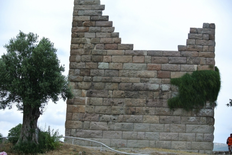 Галопом по западному побережью Турции: Стамбул-Бодрум-Дидим-Кушадасы-Бергама-Измир-Стамбул