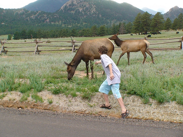 Планы по западу США для сильно немолодых