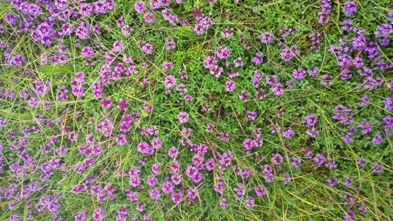 Исландия в погоне за впечатлениями