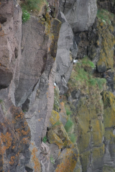 Исландия. Июнь 2014. Unreal. Unbelievable. Unutterable