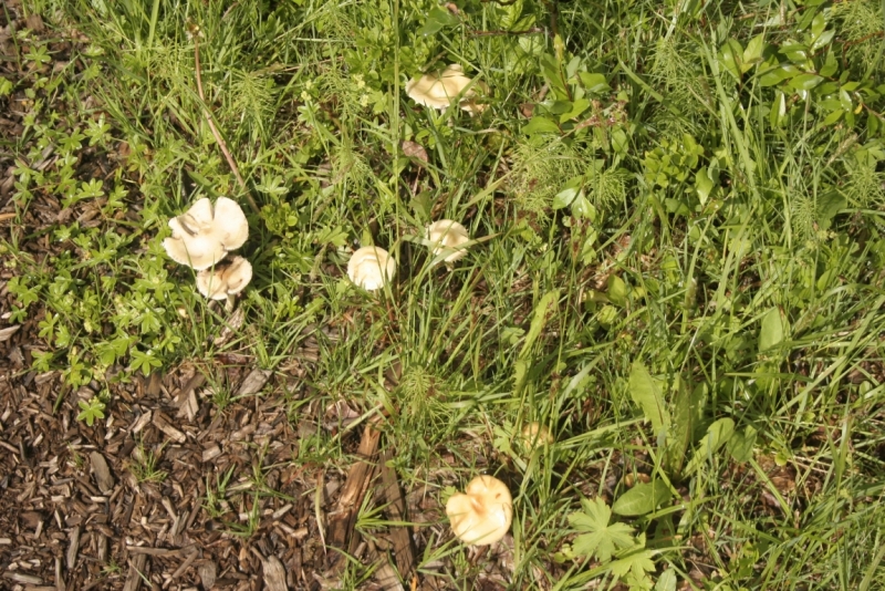 Исландия. Июнь 2014. Unreal. Unbelievable. Unutterable