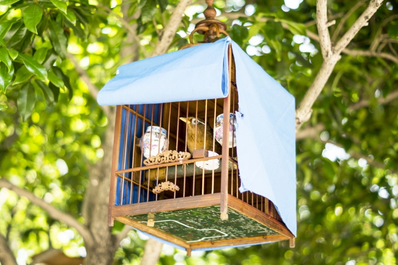 Пекин-Тяньцзинь-Шанхай-Шэньчжэнь-Гуанчжоу-Гонконг-Макао апрель-май 2014