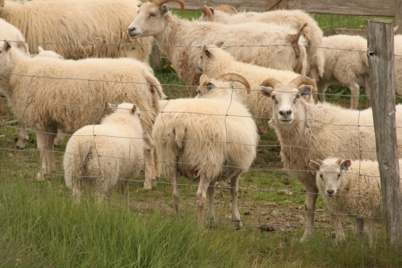 Исландия. Июнь 2014. Unreal. Unbelievable. Unutterable