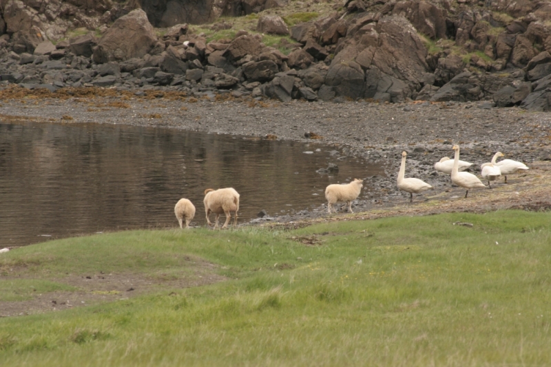 Исландия. Июнь 2014. Unreal. Unbelievable. Unutterable